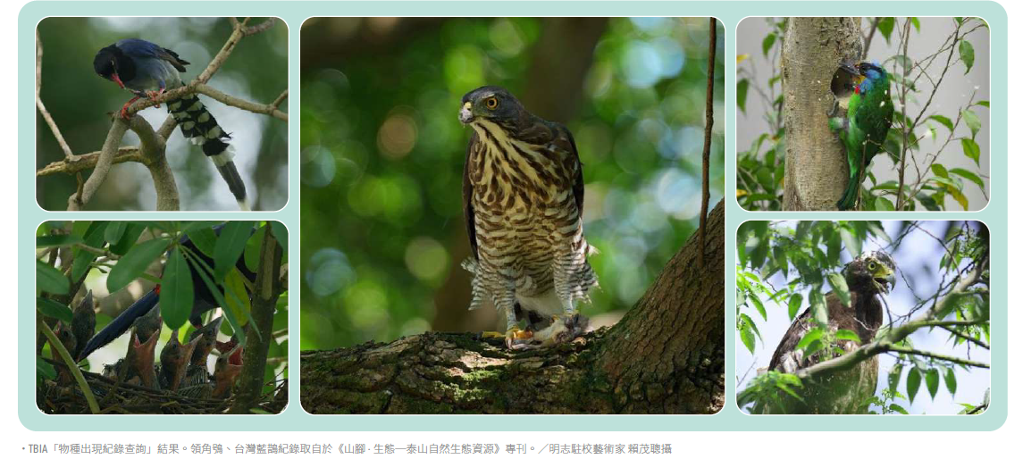 Wildlife survey on campus