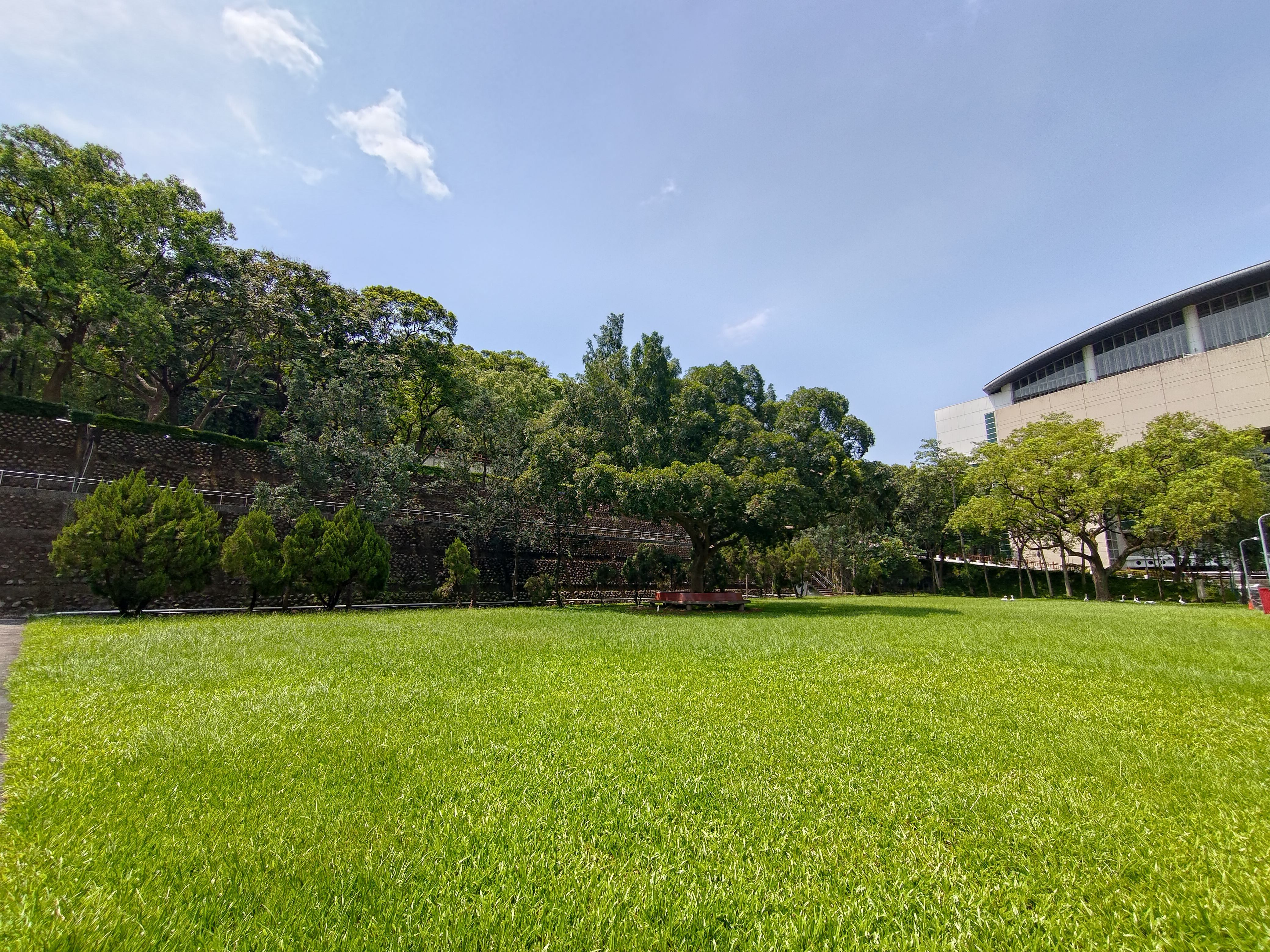 明志科技大學校園綠地、樹林與建築