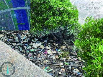 Environmental action