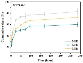 Minocycline-loaded polymer scaffolds sustain drug release for 14 days.