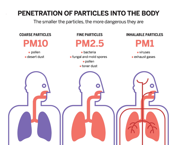 Air Quality Monitoring for Public Health — image 9