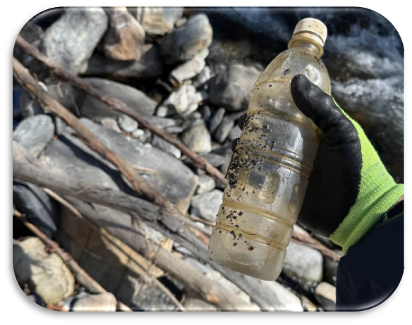 A plastic bottle collected from a stream bank