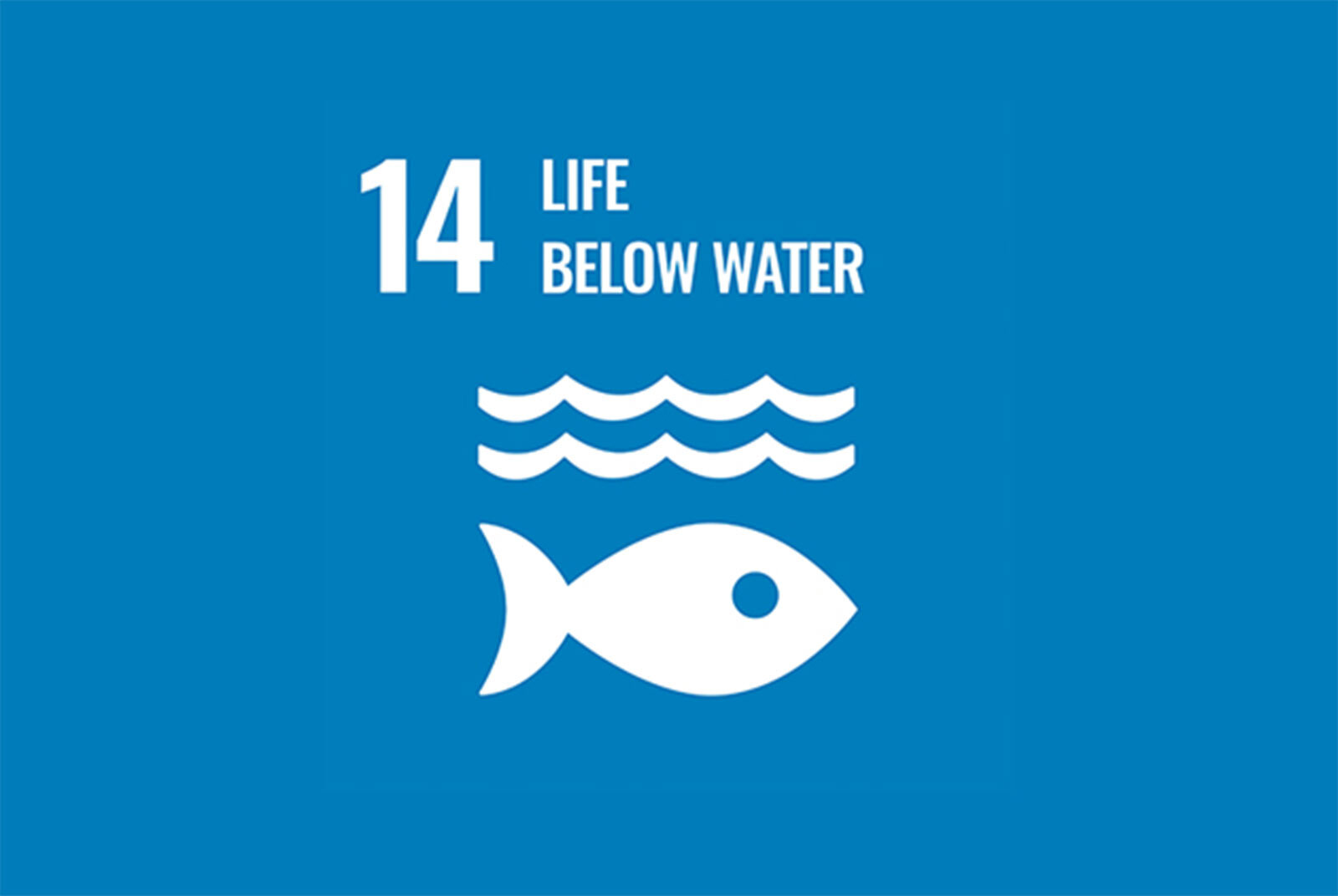 SDG14 Life Below WaterImage