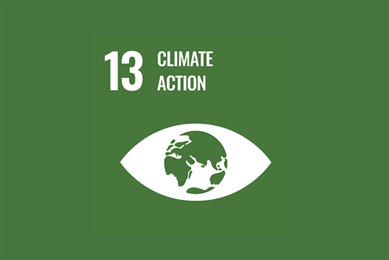 SDG13 Climate Action