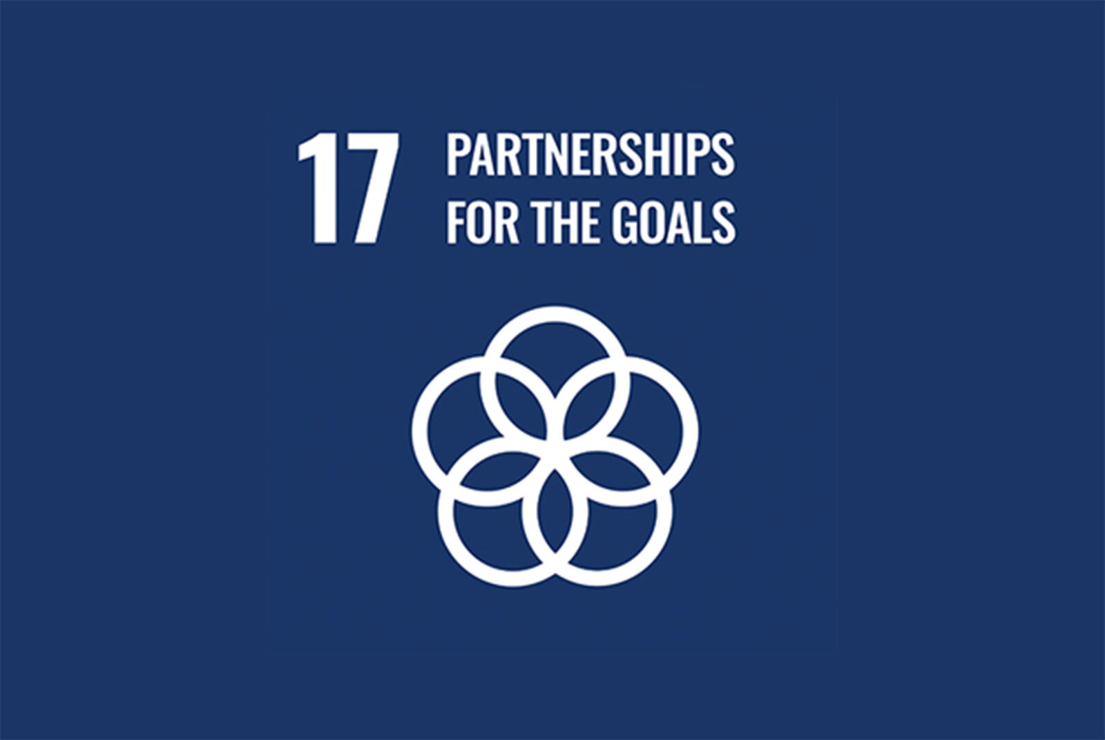 SDG17 Partnerships for the GoalsImage