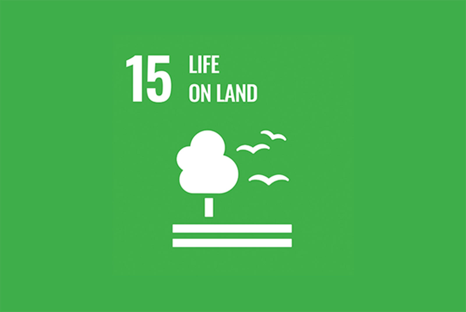 SDG15 Life on Land