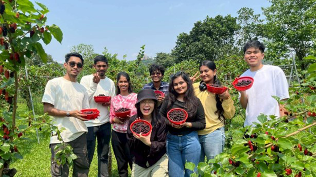 Students enjoyed their first mulberry-picking experience, proudly posing with baskets filled with freshly harvested mulberries while capturing a joyful moment of cultural and agricultural exploration.(Open new window/png file)Image