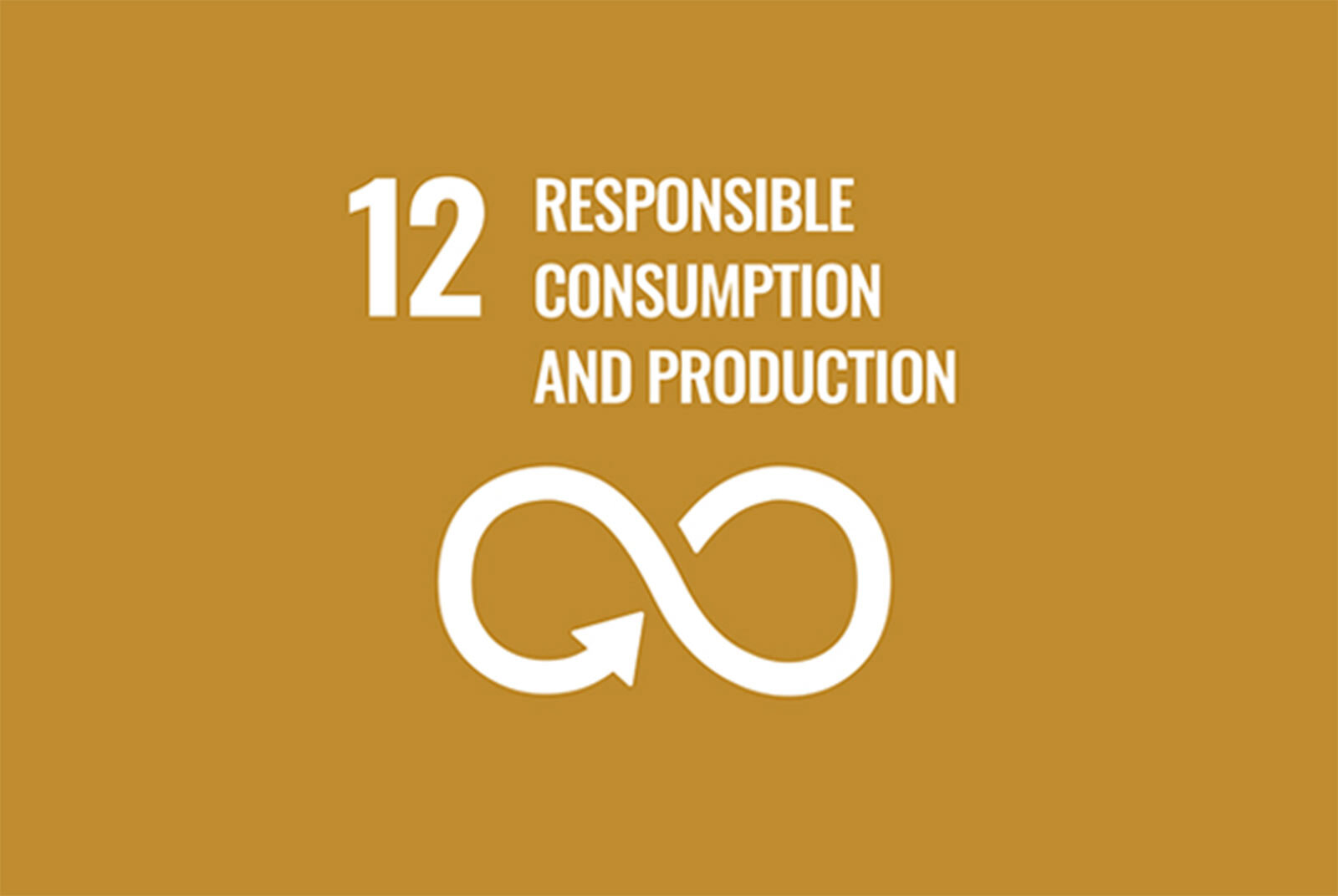 SDG12 Responsible Consumption and Production