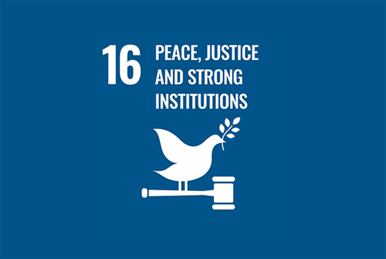 SDG16 Peace, Justice and Strong Institutions