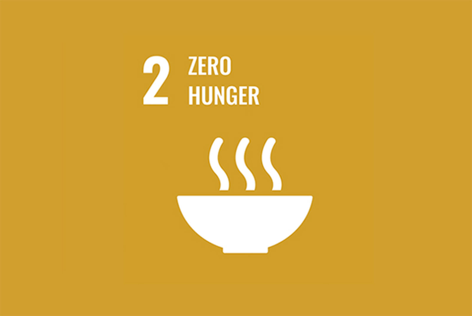 SDG2 Zero Hunger